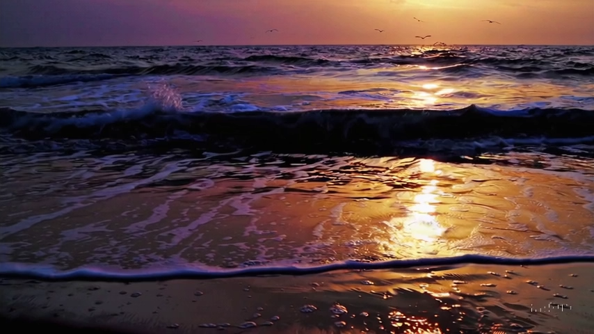 videoframe_0 (6)